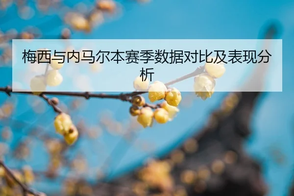 mei-xi-yu-nei-ma-er-ben-sai-ji-shu-ju-dui-bi-ji-biao-xian-fen-xi-2-757.jpg