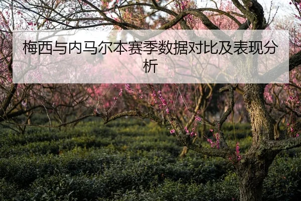 梅西与内马尔本赛季数据对比及表现分析